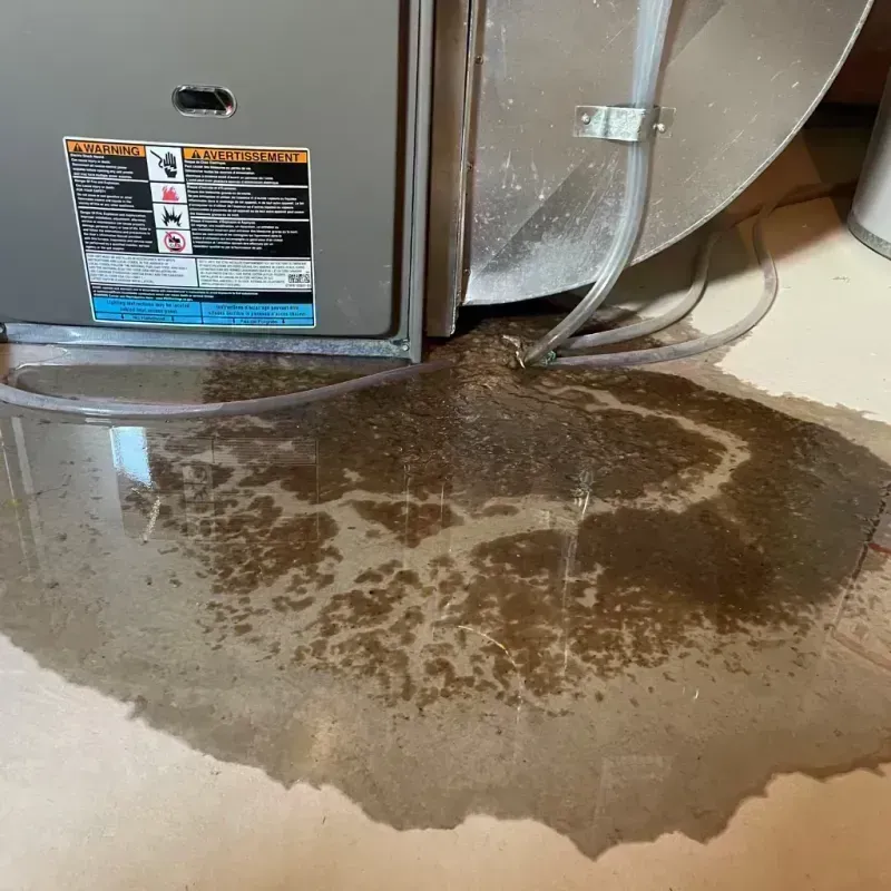 Appliance Leak Cleanup in Washington County, MO